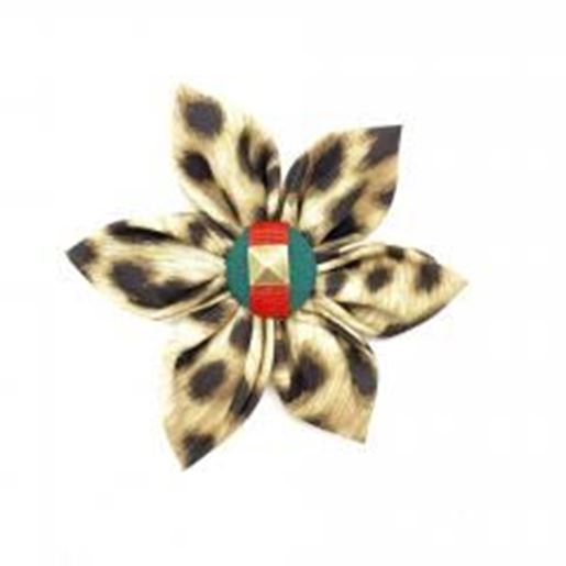 Picture of Anubis leopard dog collar flower