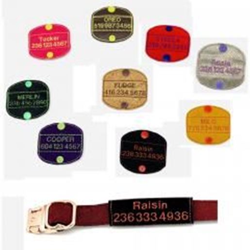 Изображение Personalized dog ID tags/patches