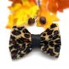 Picture of Leopard dog bow tie with leather accent