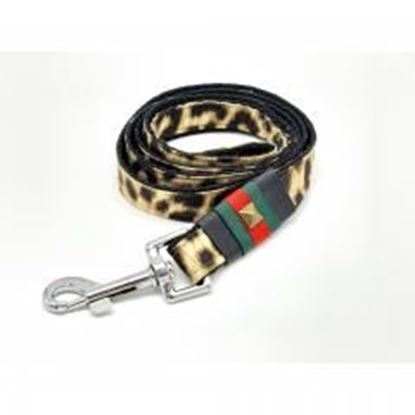 图片 Anubis leopard dog leash