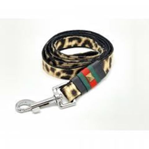 Picture of Anubis leopard dog leash