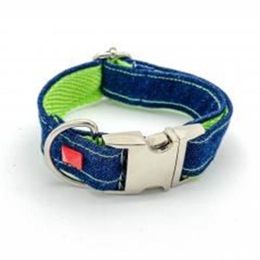 图片 Navy denim & Neon dog collar with red studs