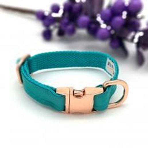 Foto de Turquoise silk dog collar with rose gold buckle