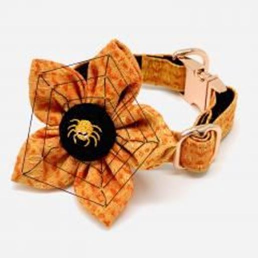 图片 Halloween 3D spider web dog collar & flower set