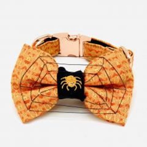 Picture of Halloween 3D spider web dog collar & bow tie set