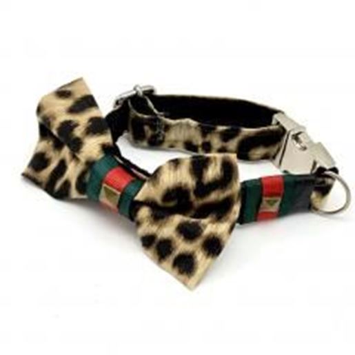 Picture of Designer leopard dog collar & bow tie