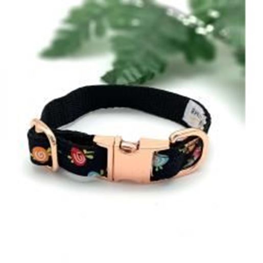 图片 Black fruity collar with rose gold buckle