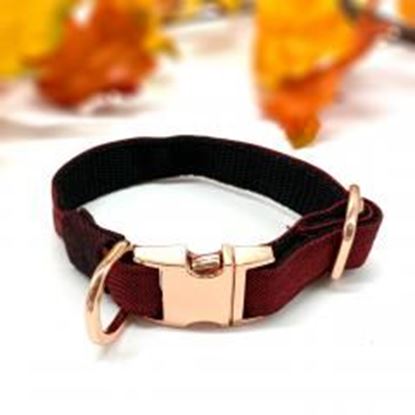 Foto de Light burgundy denim dog collar with rose gold hardware