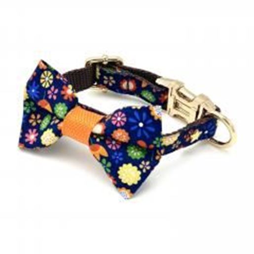 图片 Floral dog collar & bow tie set