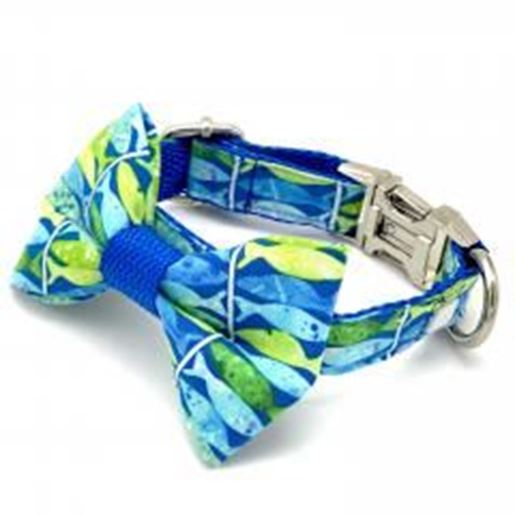 Picture of Blue neon dog collar & bow tie set