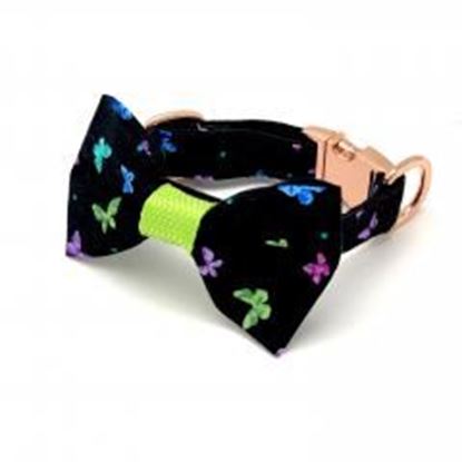 Picture of Butterflies dog collar & bow tie set