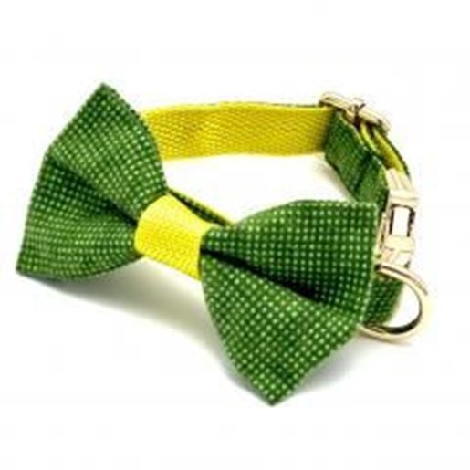 Picture of Green and yellow polka dog collar & bow tie set