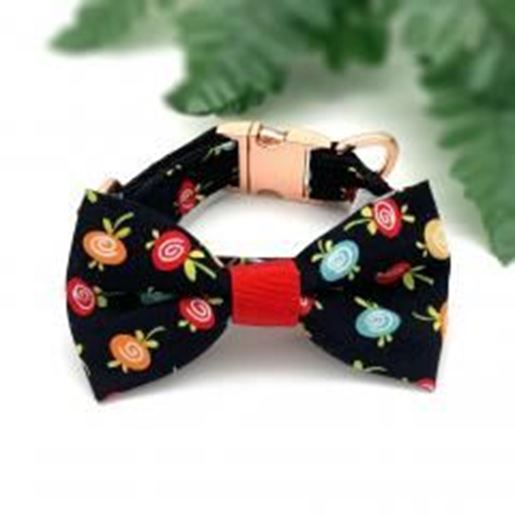 Foto de Black fruity collar & bow tie set