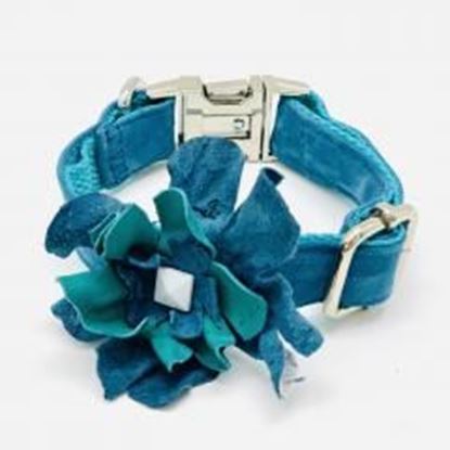 Picture of Turquoise blue soft suede & leather dog collar flower