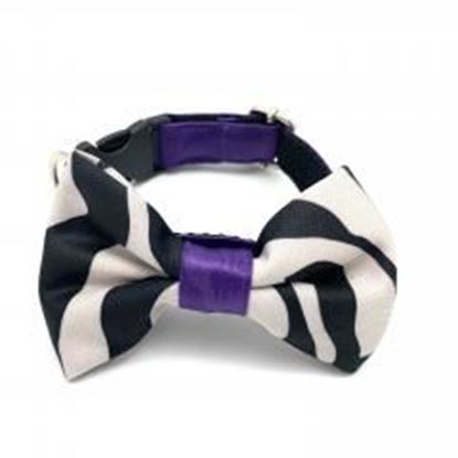 Picture of Zebra purple dog collar & bow tie set