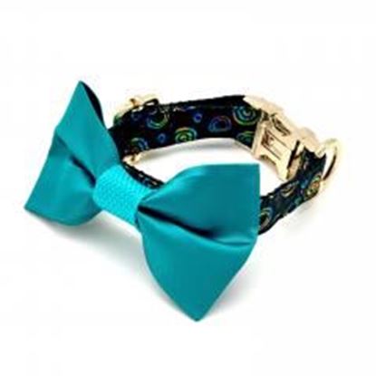 Picture of Silk turquoise circle collar & bow tie set