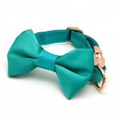 Picture of Turquoise silk dog collar & bow tie