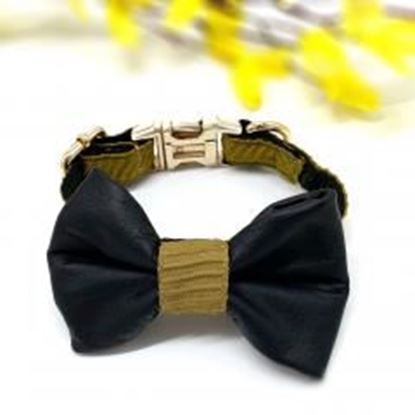 Picture of Genuine leather mustard wave dog collar & bow tie