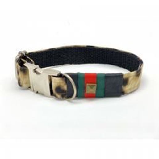 Picture of Anubis leopard dog collar