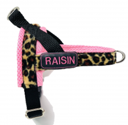 Picture of Personalized blue leopard one-click harness