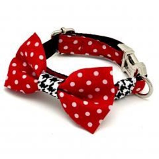 Picture of Red polka houndstooth collar & bow tie set