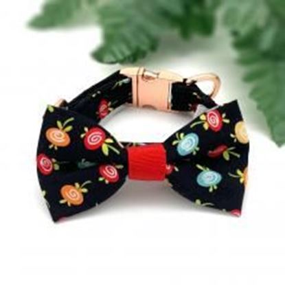 Picture of Black fruity collar & bow tie set