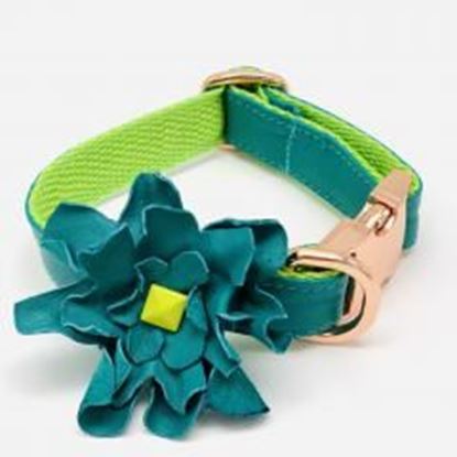 Picture of Turquoise neon soft leather dog collar flower: Size XS