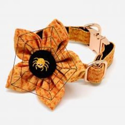 Picture of Halloween 3D spider web dog collar & flower set