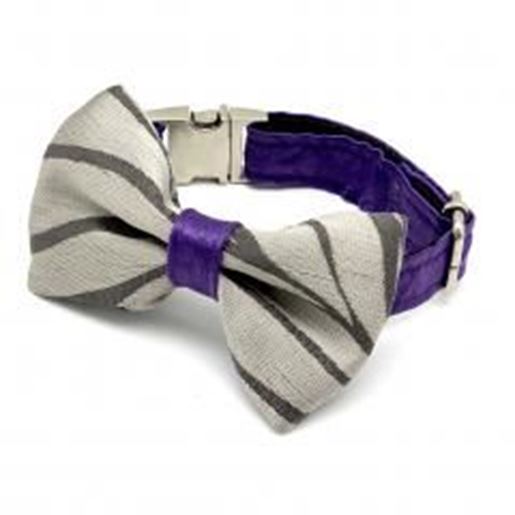 Foto de Silver purple waves dog collar & bow tie