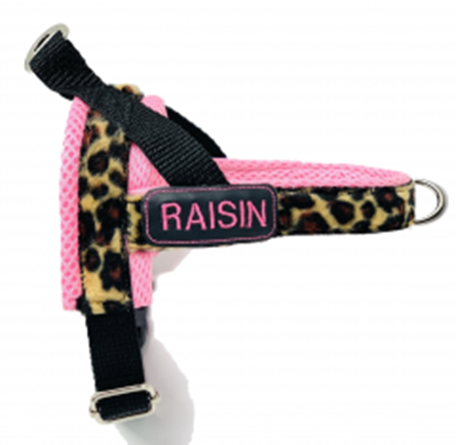 Picture of Personalized pink leopard one-click harness