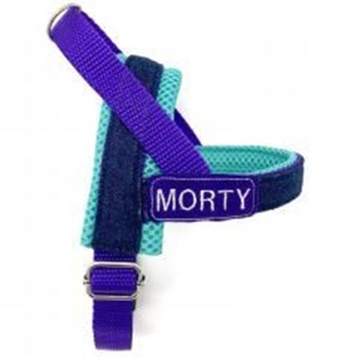 Foto de Personalized turquoise & purple denim one-click harness