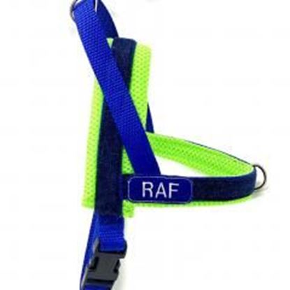 Foto de Personalized neon denim one-click harness