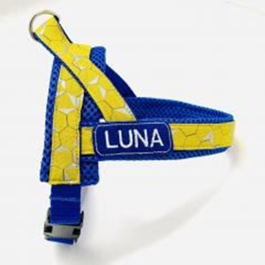 Picture of Personalized orange & navy denim one-click harness