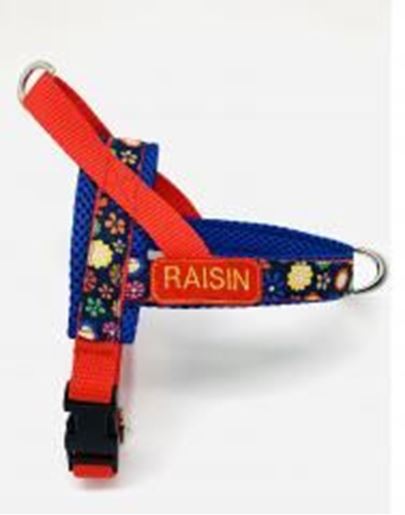 Picture of Personalized summer floral one-click harness