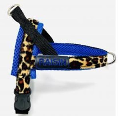 Picture of Personalized blue leopard one-click harness