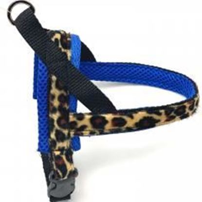 Picture of Blue leopard print harness