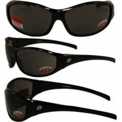 Picture of Birdz Sparrow Riding Glasses Gloss Black Frame with 1.0 Bifocal Smoke Lenses