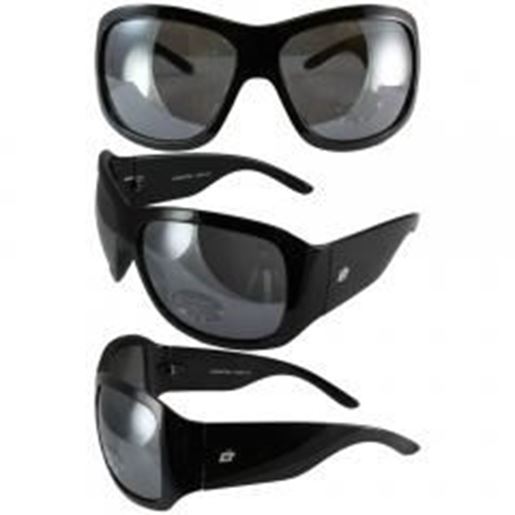 Foto de Birdz Lorikeet Womens Glasses with Gloss Black Frames and Dark Smoke Lenses