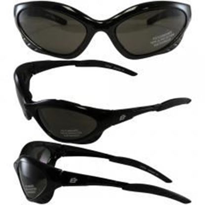 图片 Birdz Crow Aerodynamic Sleek Padded Riding Glasses with Smoke Lenses