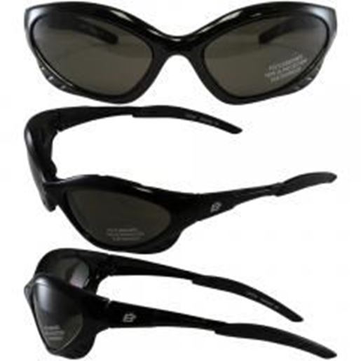 Picture of Birdz Crow Aerodynamic Sleek Padded Riding Glasses with Smoke Lenses