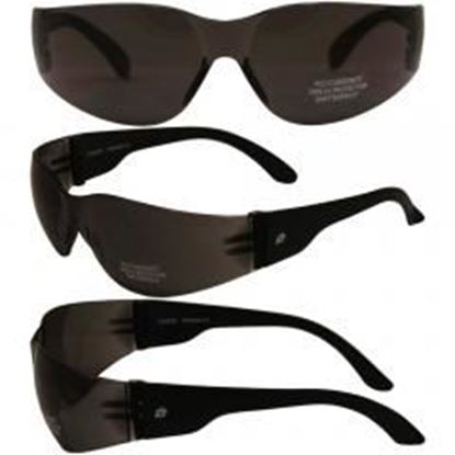 Picture of Birdz Pigeon Shop Glasses with Black Frame and Smoke Lenses