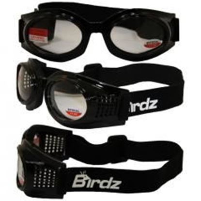 图片 Birdz Kite Black Frame Motorcycle Goggles with Clear 1.0x Bifocal Shatterproof Anti-Fog Polycarbonate Lenses and Vented Open Cell Foam