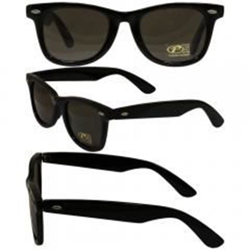 Foto de Blues Bros Black Frame Glasses with Smoke Lenses