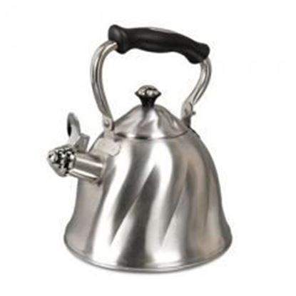 Picture of Mr.Coffee Alderton Kettle SS