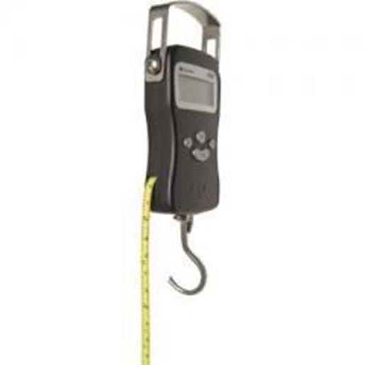 Picture of Digital Hanging Scale