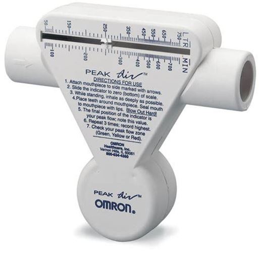 Picture of Peak Flow Meter