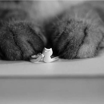 Picture of My Cute Kitten Fashion Ring In 925 Brushed Sterling Silver