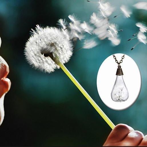 图片 Wish In The Bottle Wish Maker Necklace