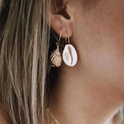 Picture of Conch And Cowrie Hoop Earrings