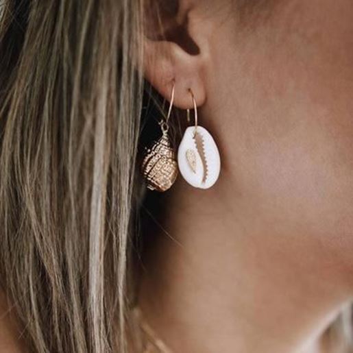 Picture of Conch And Cowrie Hoop Earrings